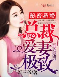 总裁新婚秘爱全本免费阅读