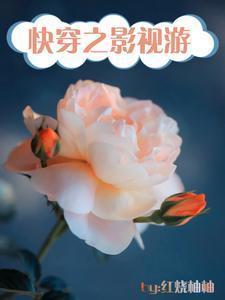 快穿之影视游从南来北往开始作者红